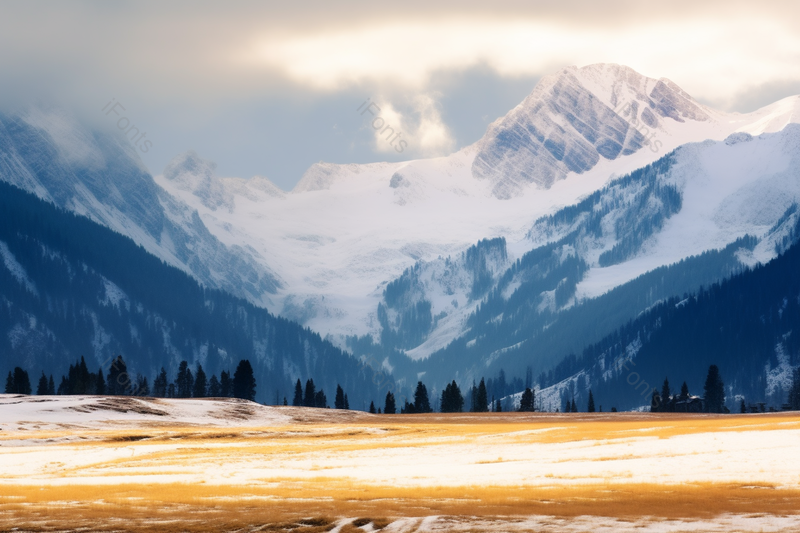天空下白色的雪山与黄色的草地冬季雪景风光景色,高清,摄影图,摄影图片,图片大全,摄影图免费下载